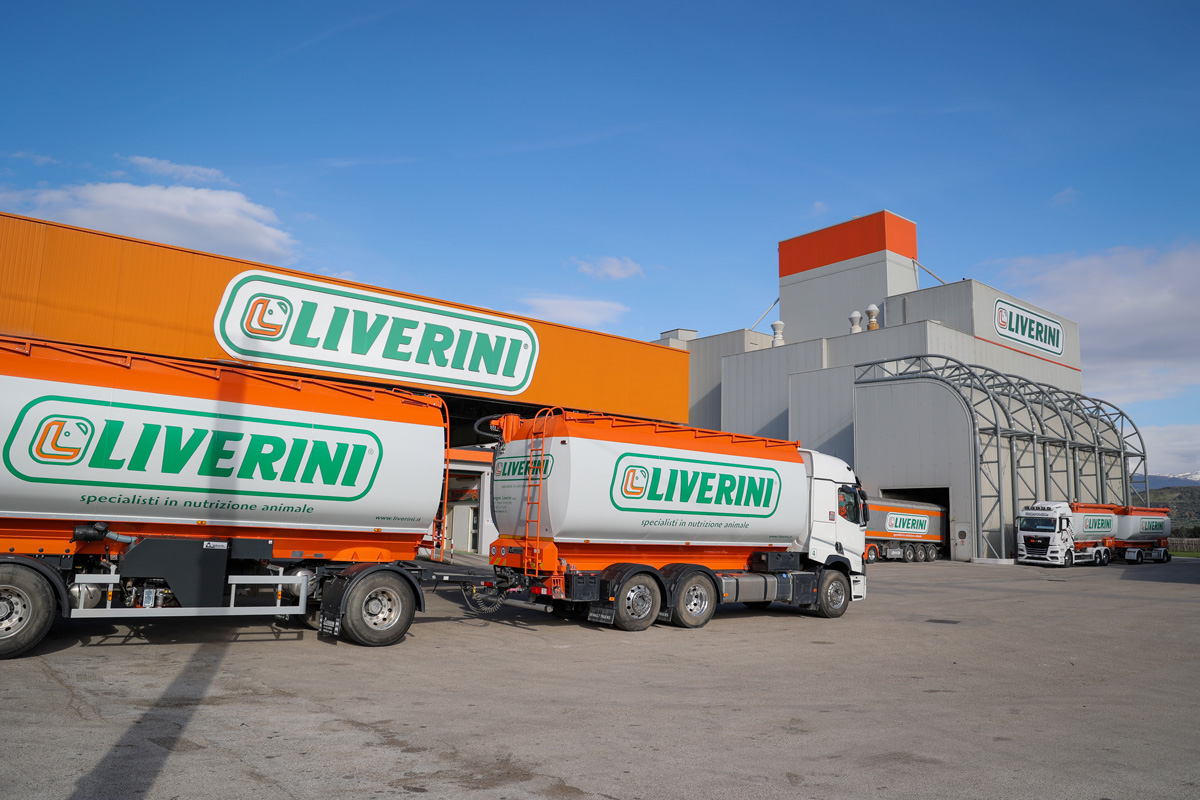Distribuzione Logistica Liverini